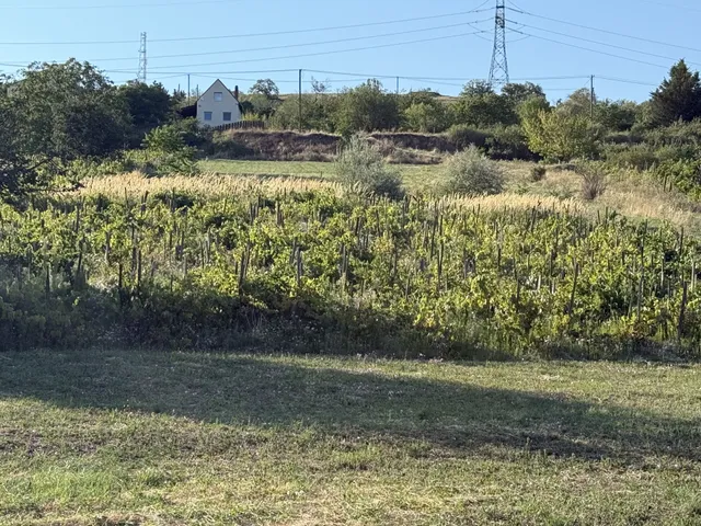 Eladó telek Csór 1884 nm