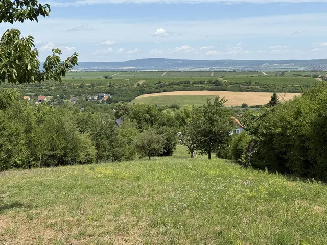 Eladó telek Etyek 2450 nm