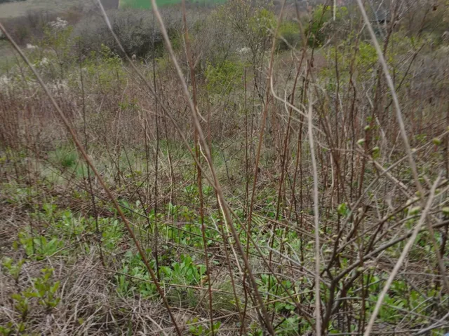 Eladó telek Úny 3971 nm