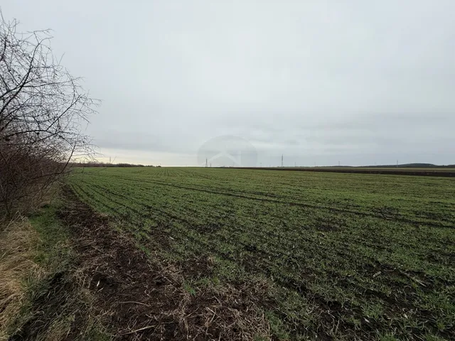 Eladó mezőgazdasági ingatlan Bicske 60159 nm