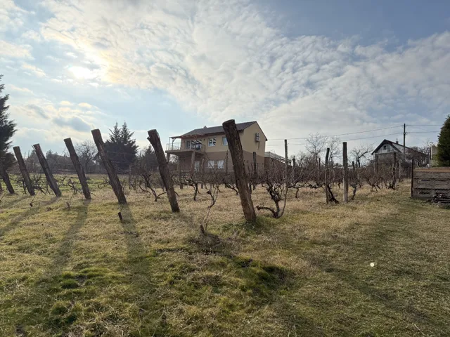 Eladó telek Pákozd 1100 nm