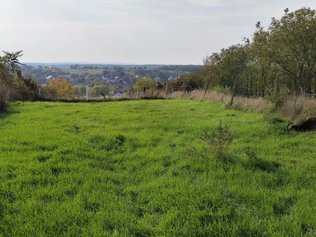Eladó telek Mány 1965 nm