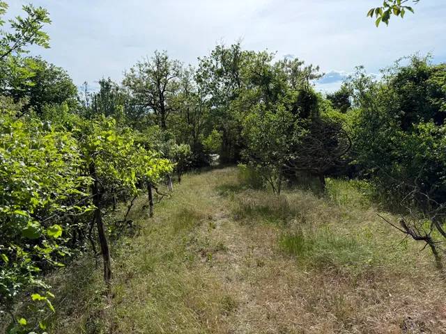 Eladó telek Biatorbágy 1537 nm