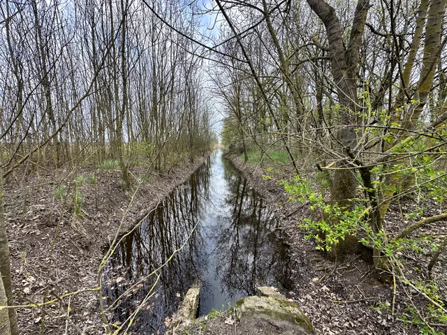 Eladó mezőgazdasági ingatlan Szeghalom 251400 nm