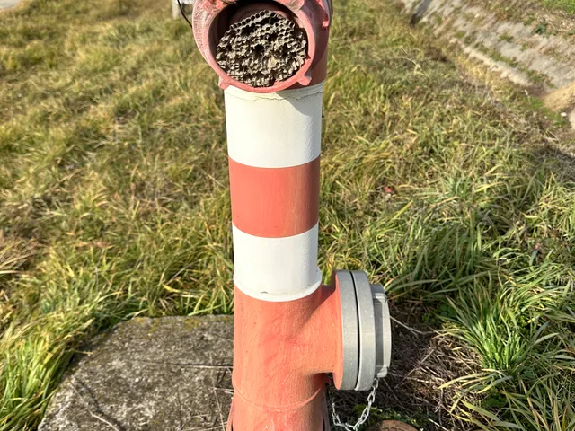 Eladó kereskedelmi és ipari ingatlan Gyomaendrőd, Endrőd 30000 nm