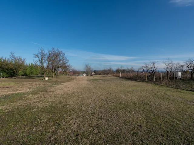 Eladó telek Naszály 1510 nm