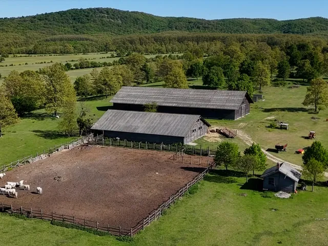 Eladó mezőgazdasági ingatlan Oroszlány 1200000 nm