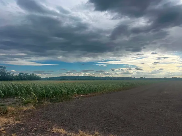 Eladó mezőgazdasági ingatlan Szomód 20600 nm