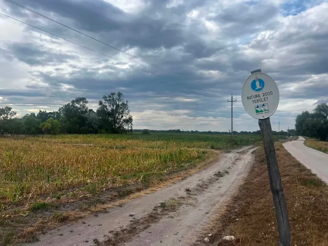 Eladó mezőgazdasági ingatlan Szomód 20600 nm
