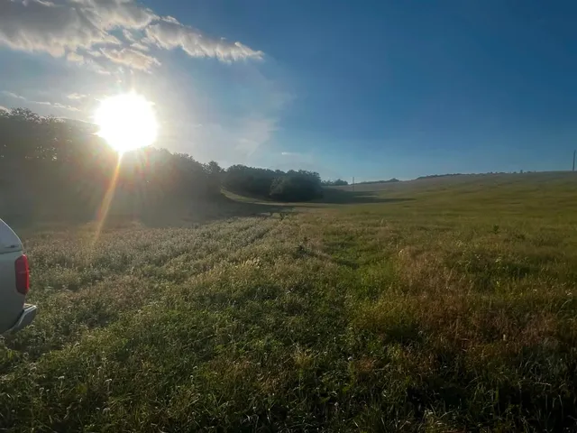 Eladó mezőgazdasági ingatlan Szomód 37312 nm