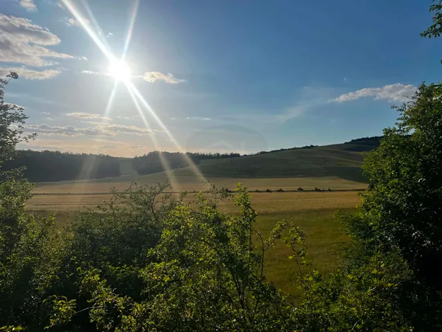 Eladó mezőgazdasági ingatlan Szomód 37312 nm