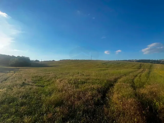 Eladó mezőgazdasági ingatlan Szomód 37312 nm