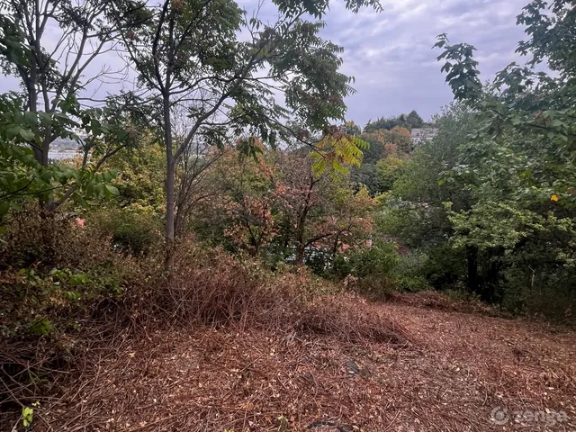 Eladó telek Budaörs, Budaörsi Kamaraerdő 715 nm