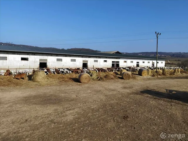 Eladó mezőgazdasági ingatlan Szentjakabfa 2575 nm