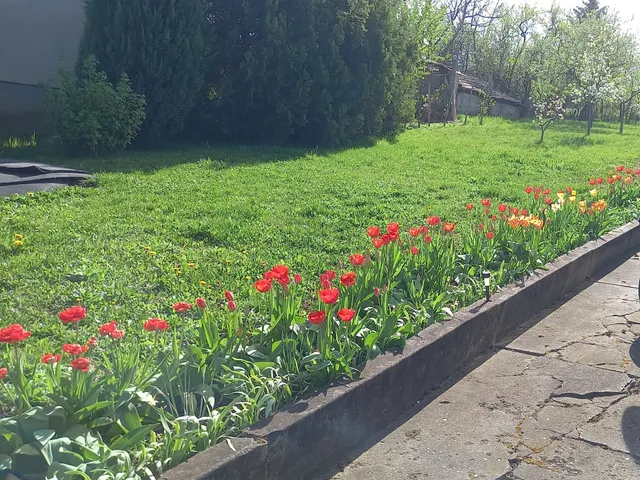 Eladó ház Szűcsi 81 nm