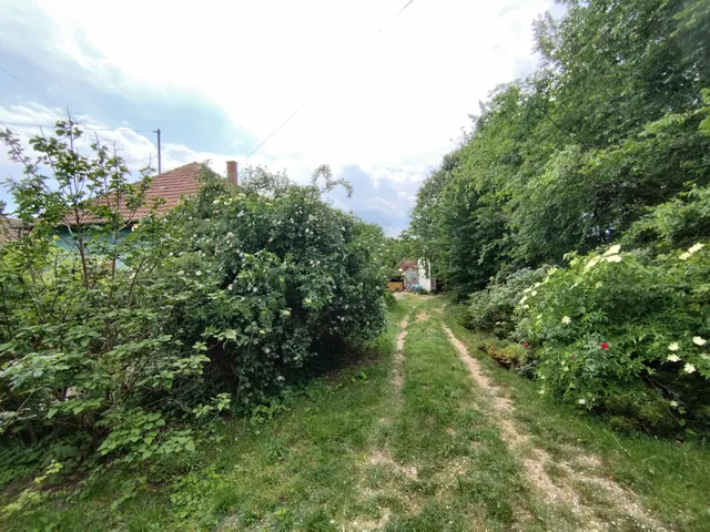 Eladó ház Csány 130 nm