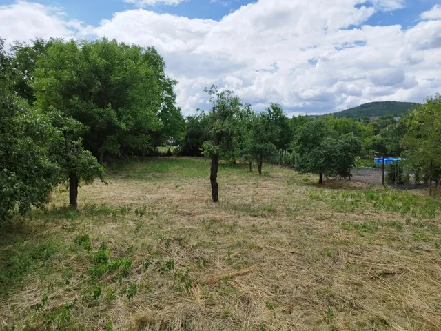 Eladó telek Buják 1700 nm