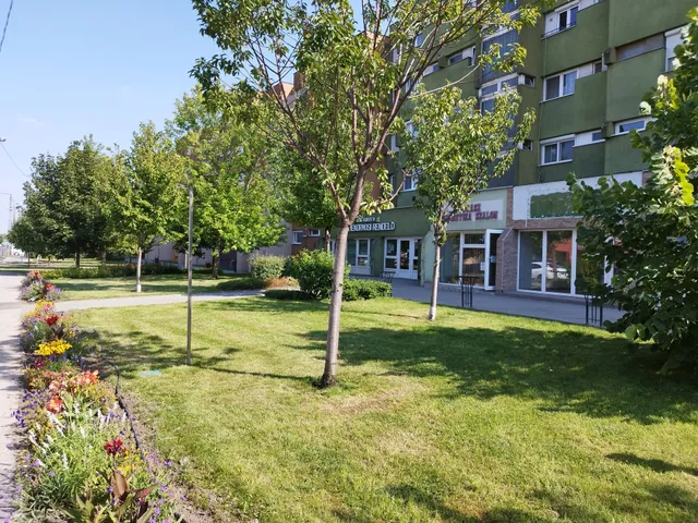 Eladó kereskedelmi és ipari ingatlan Hatvan
