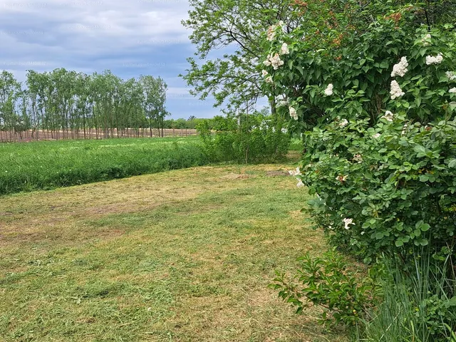 Eladó ház Csány 87 nm