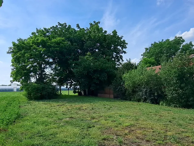 Eladó ház Csány 87 nm