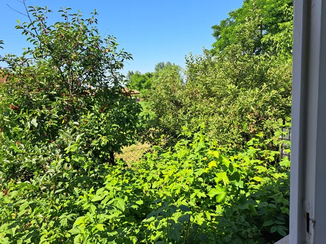 Eladó ház Csány 87 nm