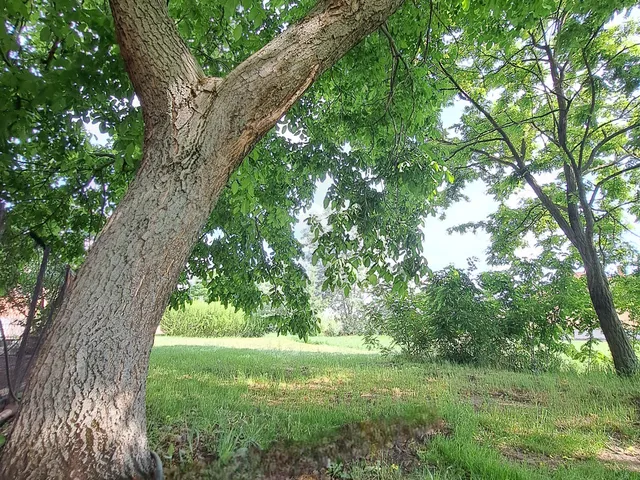 Eladó ház Csány 87 nm