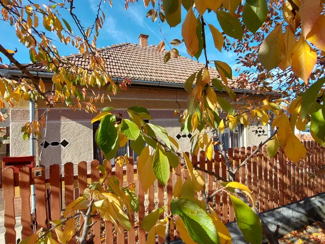 Eladó ház Nagyszénás 81 nm