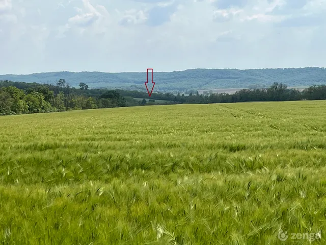 Eladó telek Hács 30385 nm