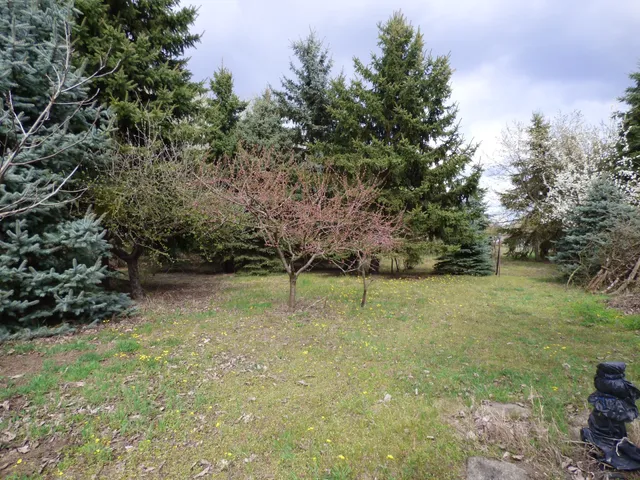 Eladó mezőgazdasági ingatlan Sándorfalva 1760 nm