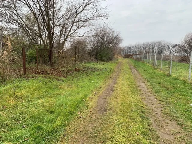 Eladó mezőgazdasági ingatlan Deszk 800 nm