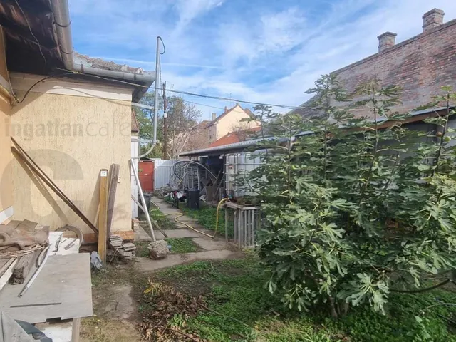 Kiadó ház Szeged, Móraváros 100 nm