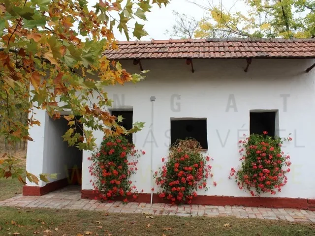 Eladó mezőgazdasági ingatlan Ásotthalom 80 nm