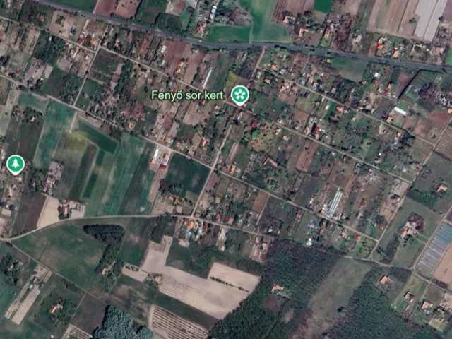 Eladó mezőgazdasági ingatlan Bordány 850 nm