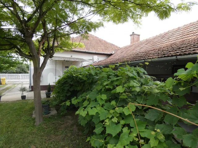 Eladó ház Röszke 115 nm