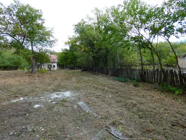 Eladó mezőgazdasági ingatlan Mórahalom 108233 nm