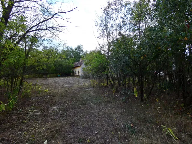 Eladó mezőgazdasági ingatlan Mórahalom 108233 nm