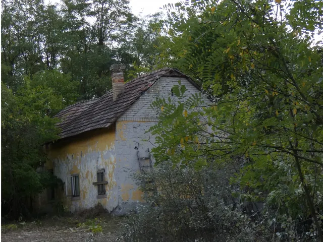 Eladó mezőgazdasági ingatlan Mórahalom, II ker. 85 nm