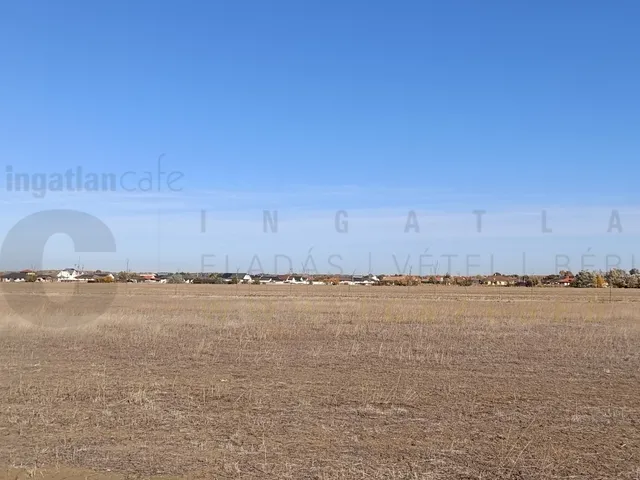 Eladó telek Deszk 3000 nm