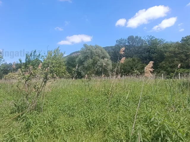 Eladó telek Badacsonytördemic 811 nm