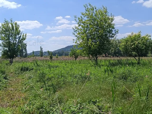 Eladó telek Badacsonytördemic 811 nm