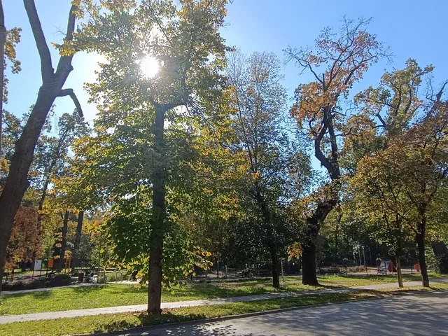Kiadó lakás Szeged, Újszeged, Népkert sor 52 nm