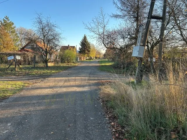 Eladó mezőgazdasági ingatlan Szeged 800 nm