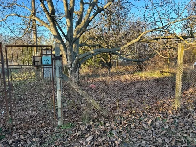 Eladó mezőgazdasági ingatlan Szeged 800 nm