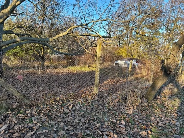 Eladó mezőgazdasági ingatlan Szeged 800 nm