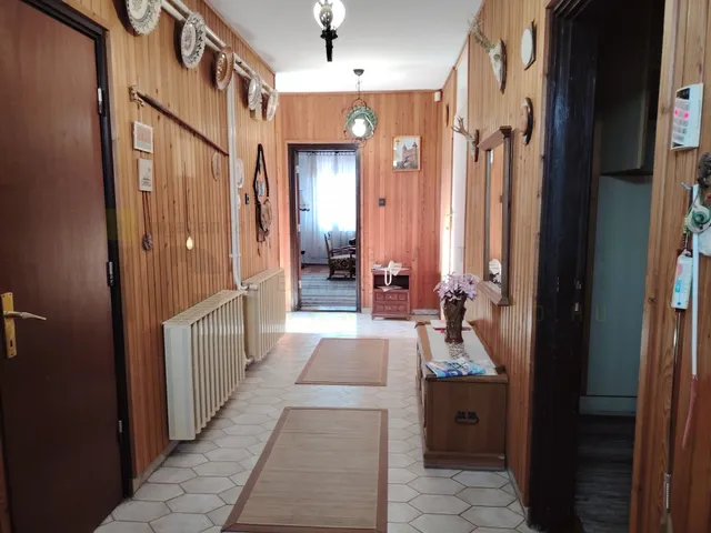 Kiadó ház Hódmezővásárhely, Tisza István u. 160 nm