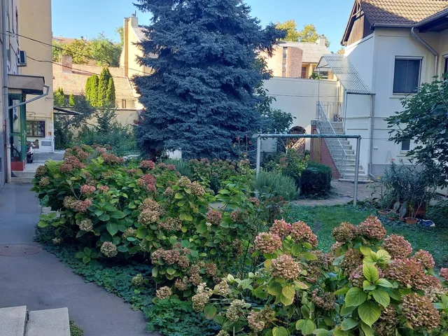 Eladó lakás Szeged, Belváros, Szent István tér 60 nm