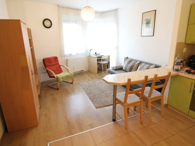 Kiadó lakás Szeged, Felsőváros, Felső Tisza-Part utca 39 nm