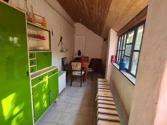 Eladó mezőgazdasági ingatlan Domaszék, külterület 6248 nm