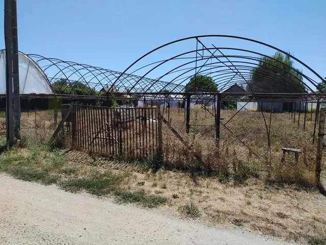 Eladó telek Deszk, Liliom 800 nm