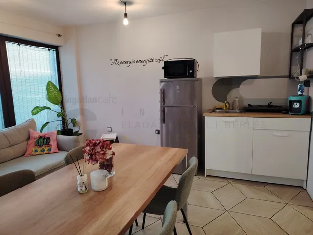 Kiadó lakás Szeged, Belváros, Szentháromság utca 35 nm